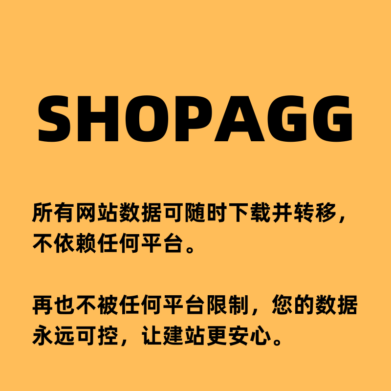 跨境独立站定制