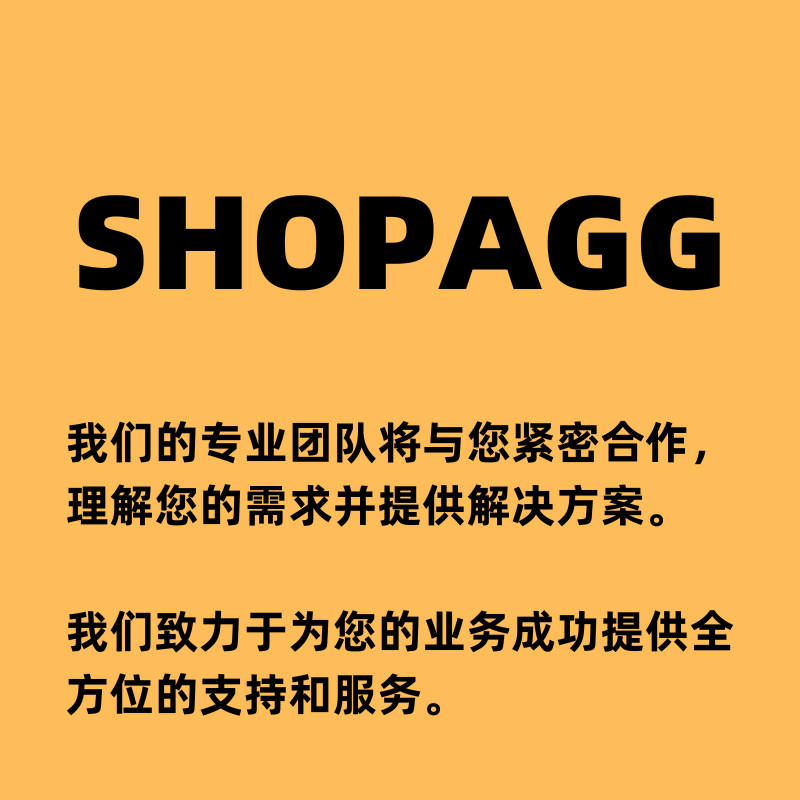 跨境独立站定制